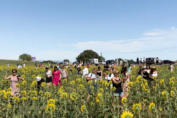 © Natacha de Mahieu / Instagram Foule de touristes dans un champ de tournesols, par Natacha de Mahieu