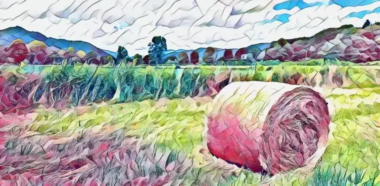 Vallée de la Cère (Cantal). Botte de foin posée sur un pré dans la vallée de la Cère (Cantal)